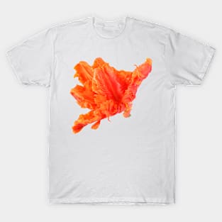 Tulipa  &#39;Monarch Parrot&#39;  Tulip  Parrot Group T-Shirt